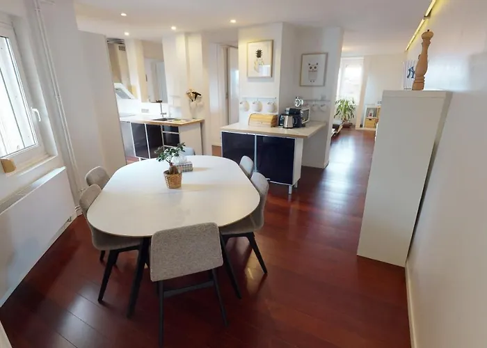 Le Quai Koch Apartment Straßburg